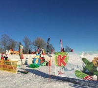 
                                         X ski school – lyžařská škola Strážné